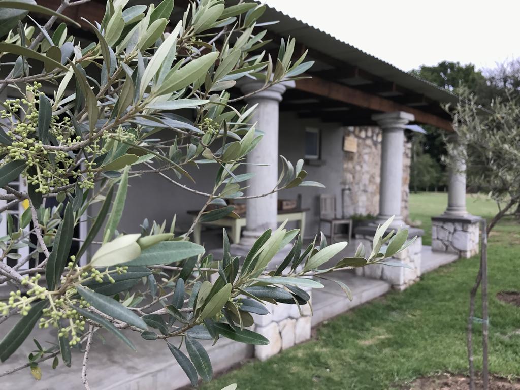 Hotel Florence Guest Farm Chrissiesmeer Exterior foto