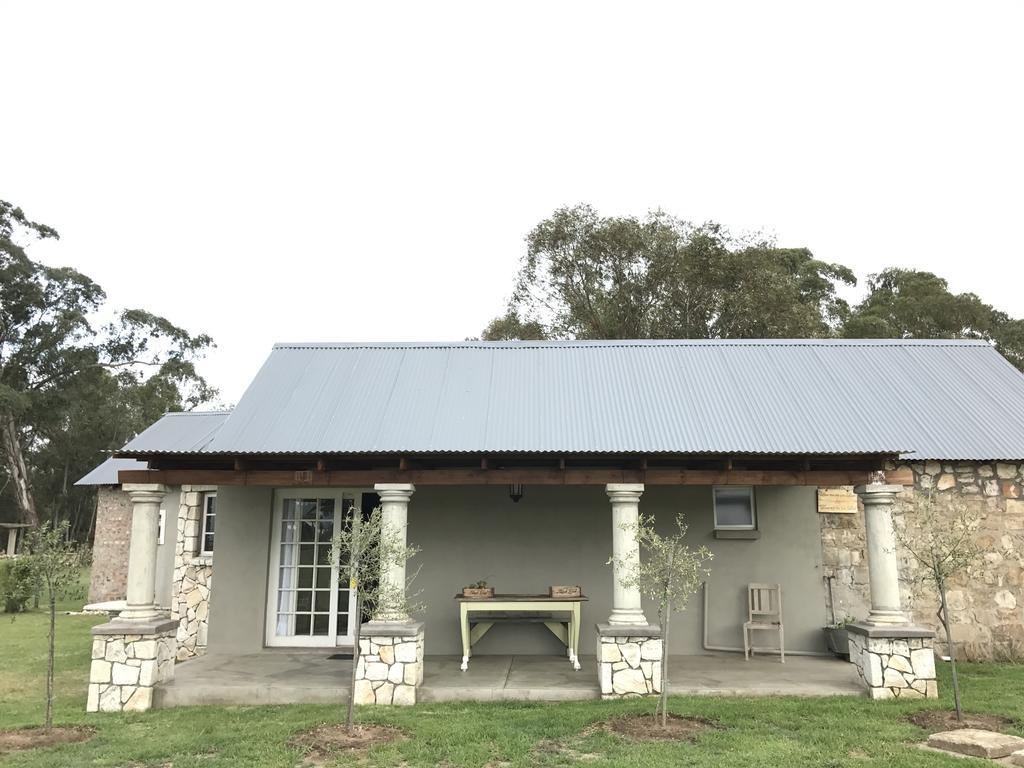 Hotel Florence Guest Farm Chrissiesmeer Exterior foto